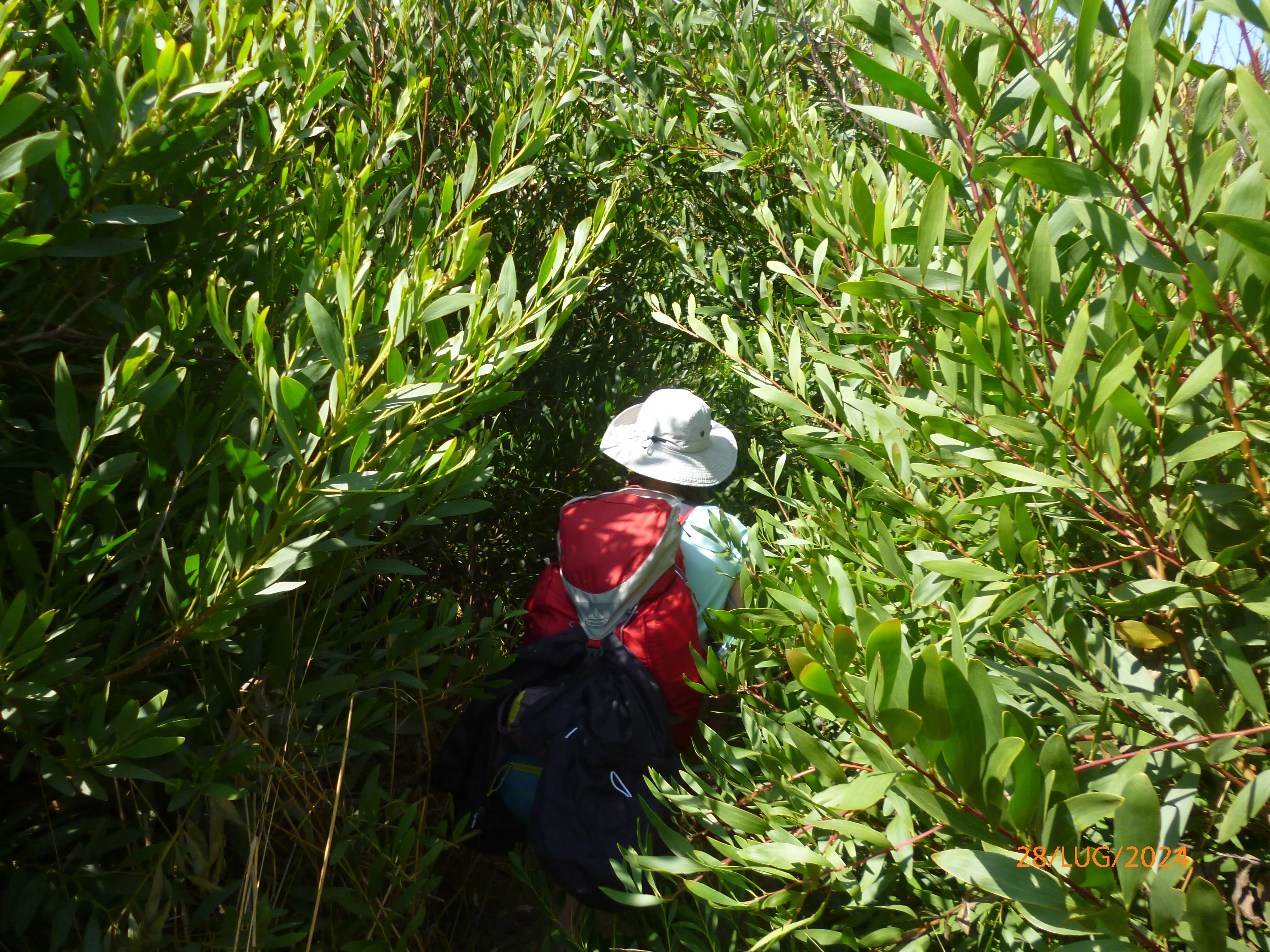 Sines - Sagres, ma nessuna sagra